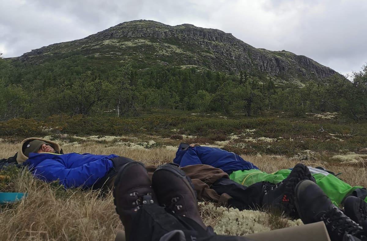 Playful Passage n.14